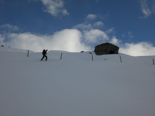 L'Ouille Allegra